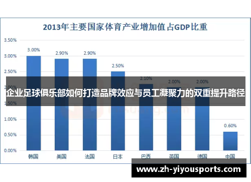 企业足球俱乐部如何打造品牌效应与员工凝聚力的双重提升路径