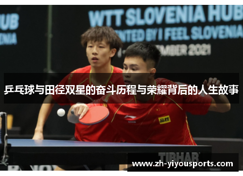 乒乓球与田径双星的奋斗历程与荣耀背后的人生故事