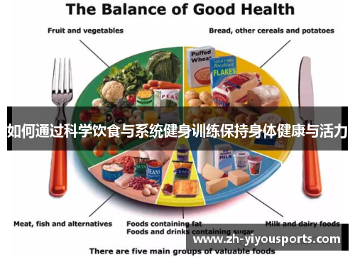 如何通过科学饮食与系统健身训练保持身体健康与活力