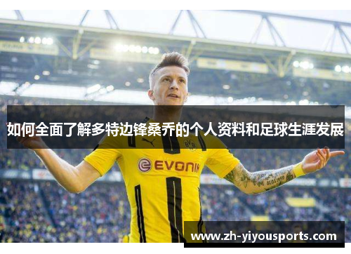 如何全面了解多特边锋桑乔的个人资料和足球生涯发展