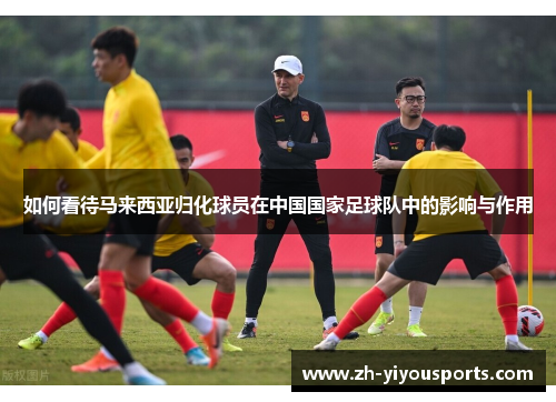 如何看待马来西亚归化球员在中国国家足球队中的影响与作用 如何看待马来西亚归化球员在中国国家足球队中的影响与作用