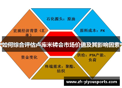 如何综合评估卢库米转会市场价值及其影响因素 如何综合评估卢库米转会市场价值及其影响因素