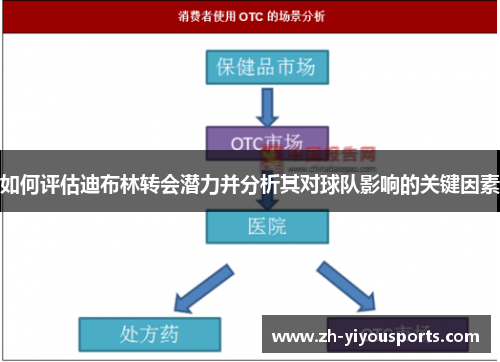 如何评估迪布林转会潜力并分析其对球队影响的关键因素