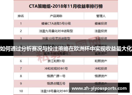 如何通过分析赛况与投注策略在欧洲杯中实现收益最大化