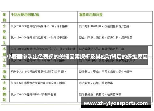 小麦国家队出色表现的关键因素探析及其成功背后的多维原因 小麦国家队出色表现的关键因素探析及其成功背后的多维原因